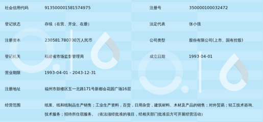 福建省青山紙業股份有限公司 紙制品銷售的戰略布局與市場競爭力分析