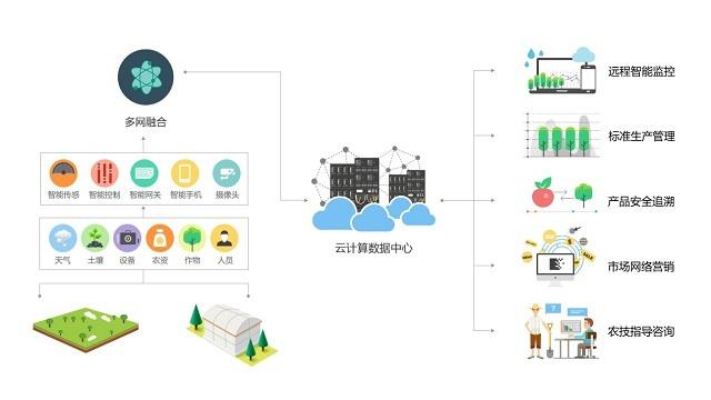 數據驅動田野 智慧農業如何重塑傳統農耕未來